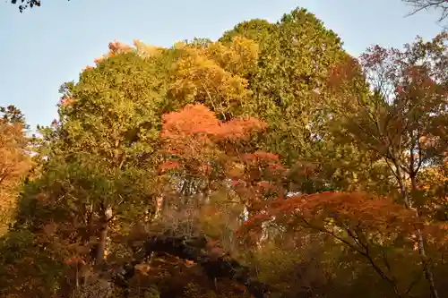 榛名神社の景色