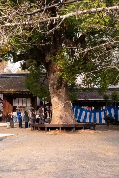 平野神社(京都府)
