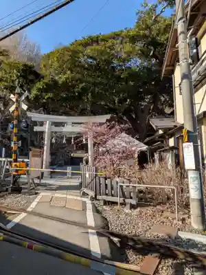 御霊神社(神奈川県)