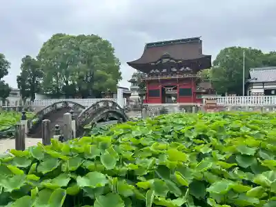 伊賀八幡宮の{uncategorized: "未分類", other: "その他", undefined: "問題あり", building: "その他建物", grave: "お墓", sacred_gate: "鳥居", guardian: "狛犬", statue: "像", buddha: "仏像", history: "歴史", nature: "自然", garden: "庭園", animal: "動物", pagoda: "塔", temizu: "手水舎", mountain_gate: "山門・神門", sanctuary: "本殿・本堂", subordinate: "末社・摂社", art: "芸術", scenery: "景色", jizo: "地蔵", ema: "絵馬", goshuin: "御朱印", omikuji: "おみくじ", items: "授与品その他", amulet: "お守り", goshuincho: "御朱印帳", eats: "食事", festival: "お祭り", votive_dance: "神楽", shichigosan: "七五三参", wedding: "結婚式", experience: "体験その他", initially: "初詣", around: "周辺", anti_infection: "感染症対策"}