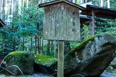 貴船神社結社(京都府)
