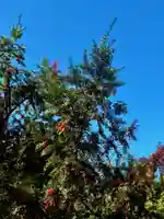 蚊里田八幡宮(長野県)