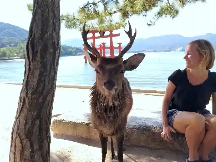厳島神社(広島県)