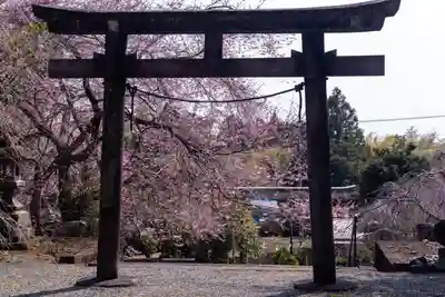 村山浅間神社(静岡県)