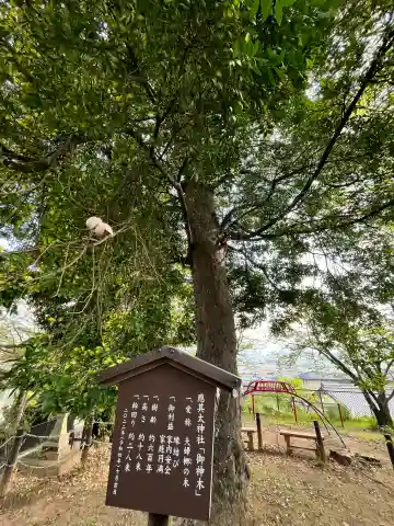 應其太神社の{uncategorized: "未分類", other: "その他", undefined: "問題あり", building: "その他建物", grave: "お墓", sacred_gate: "鳥居", guardian: "狛犬", statue: "像", buddha: "仏像", history: "歴史", nature: "自然", garden: "庭園", animal: "動物", pagoda: "塔", temizu: "手水舎", mountain_gate: "山門・神門", sanctuary: "本殿・本堂", subordinate: "末社・摂社", art: "芸術", scenery: "景色", jizo: "地蔵", ema: "絵馬", goshuin: "御朱印", omikuji: "おみくじ", items: "授与品その他", amulet: "お守り", goshuincho: "御朱印帳", eats: "食事", festival: "お祭り", votive_dance: "神楽", shichigosan: "七五三参", wedding: "結婚式", experience: "体験その他", initially: "初詣", around: "周辺", anti_infection: "感染症対策"}