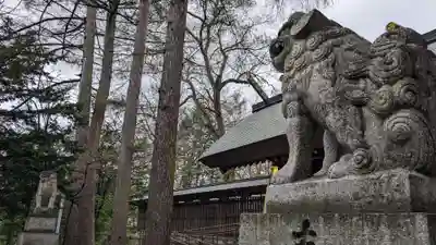 帯廣神社の狛犬