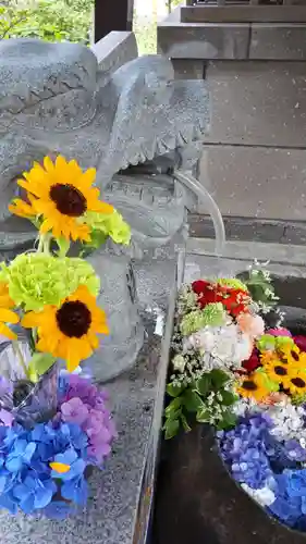 手稲神社の手水