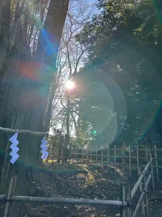 大國魂神社(東京都)