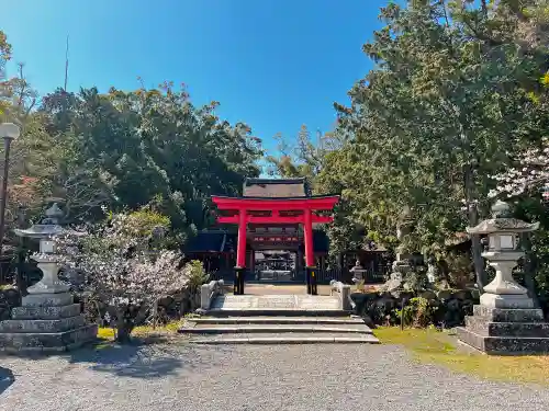 兵主大社の鳥居