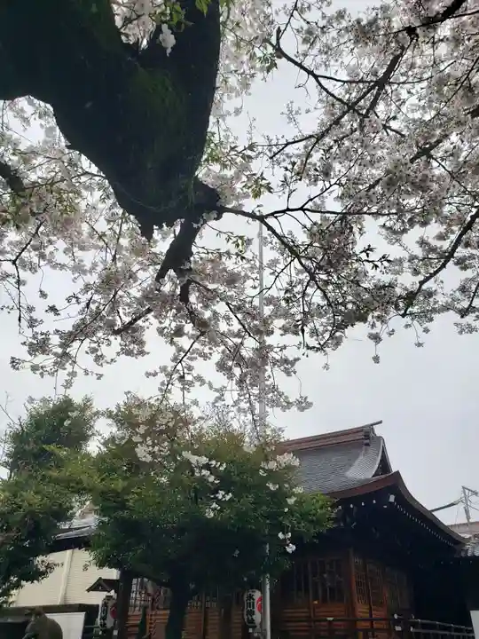 本郷氷川神社(東京都)