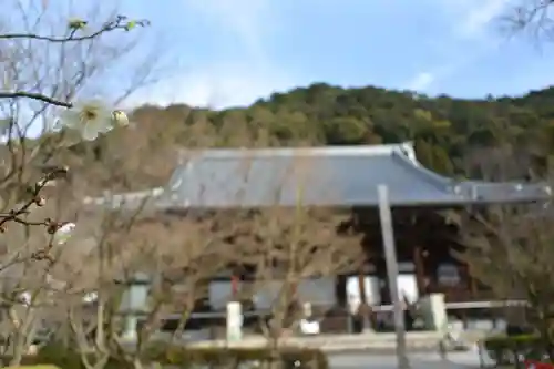 禅林寺（永観堂）の本殿・本堂