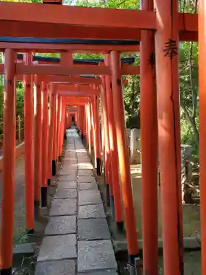根津神社の鳥居