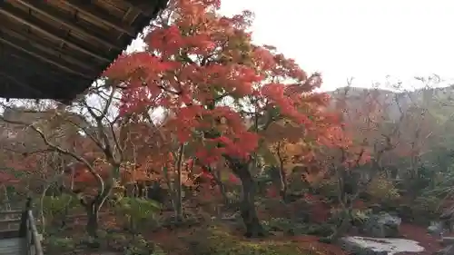 宝筐院の庭園