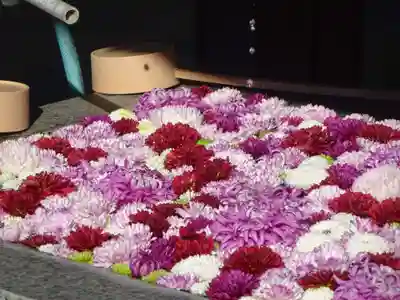 横浜 西方寺の手水舎