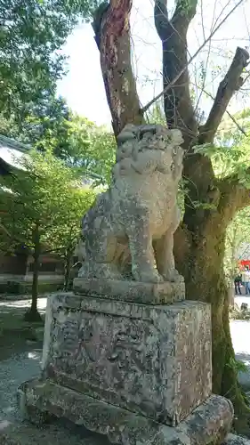 報徳二宮神社の狛犬