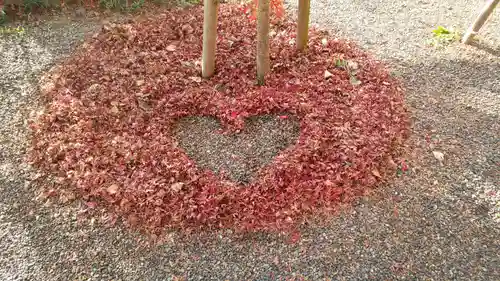 出雲大神宮の庭園