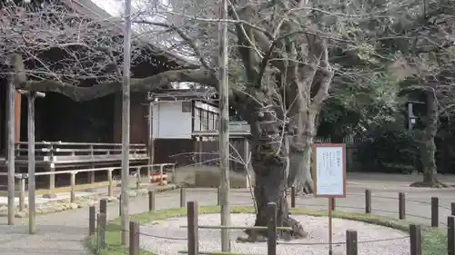 靖國神社(東京都)