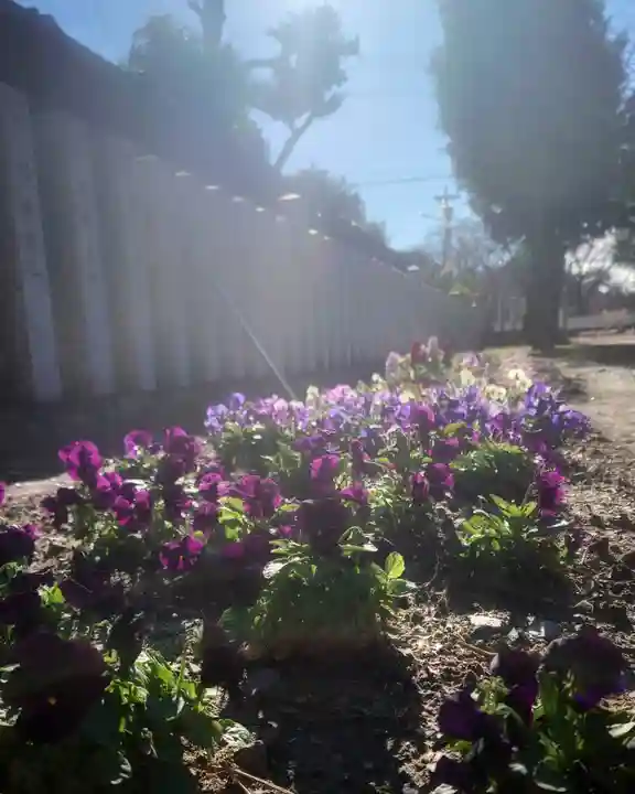 秋葉神社の自然