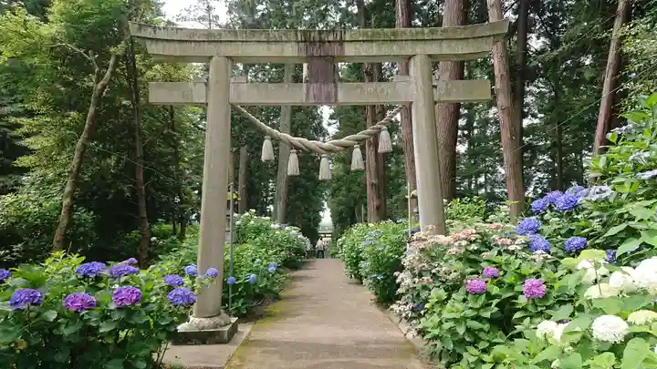 磯山神社(栃木県)