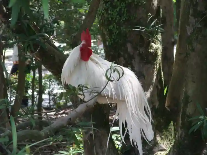 伊勢神宮内宮(皇大神宮)(三重県)