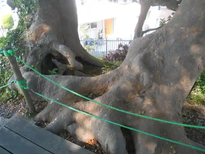 六代山不動院の自然