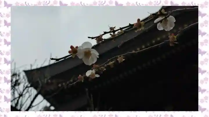 湯島天満宮(東京都)