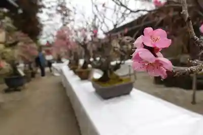菅原天満宮（菅原神社）のその他建物
