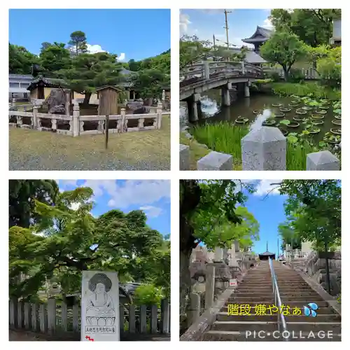 くろ谷 金戒光明寺(京都府)
