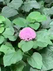 生田神社の自然