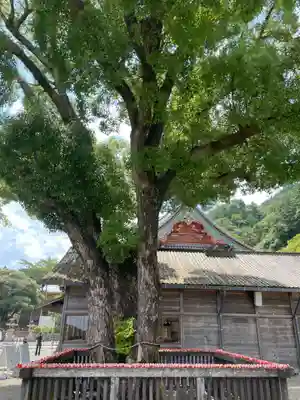勝尾寺(大阪府)