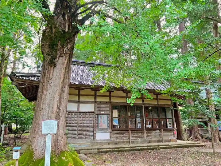若狭姫神社(若狭彦神社下社)(福井県)
