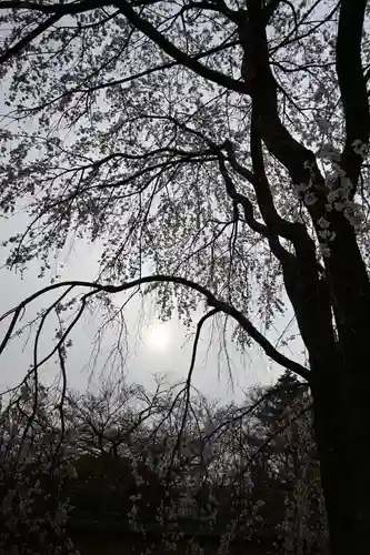醍醐寺(京都府)