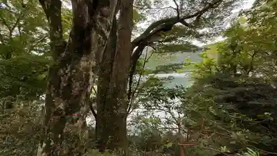 九頭龍神社本宮(神奈川県)