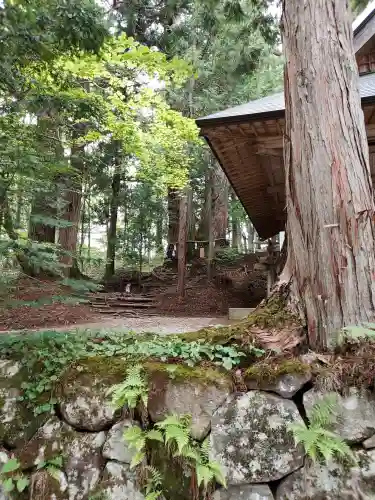 戸隠神社火之御子社の{uncategorized: "未分類", other: "その他", undefined: "問題あり", building: "その他建物", grave: "お墓", sacred_gate: "鳥居", guardian: "狛犬", statue: "像", buddha: "仏像", history: "歴史", nature: "自然", garden: "庭園", animal: "動物", pagoda: "塔", temizu: "手水舎", mountain_gate: "山門・神門", sanctuary: "本殿・本堂", subordinate: "末社・摂社", art: "芸術", scenery: "景色", jizo: "地蔵", ema: "絵馬", goshuin: "御朱印", omikuji: "おみくじ", items: "授与品その他", amulet: "お守り", goshuincho: "御朱印帳", eats: "食事", festival: "お祭り", votive_dance: "神楽", shichigosan: "七五三参", wedding: "結婚式", experience: "体験その他", initially: "初詣", around: "周辺", anti_infection: "感染症対策"}