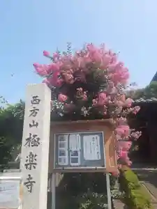 西方山極楽寺(岐阜県)(2025年08月21日(木) 22時12分48秒投稿)