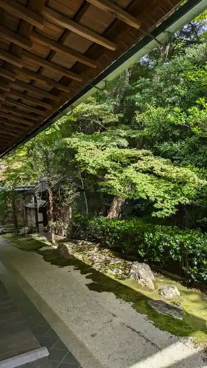 真珠庵(真珠菴)(京都府)