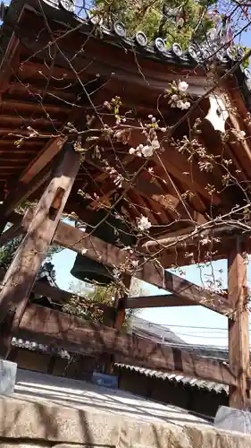 願得寺のその他建物