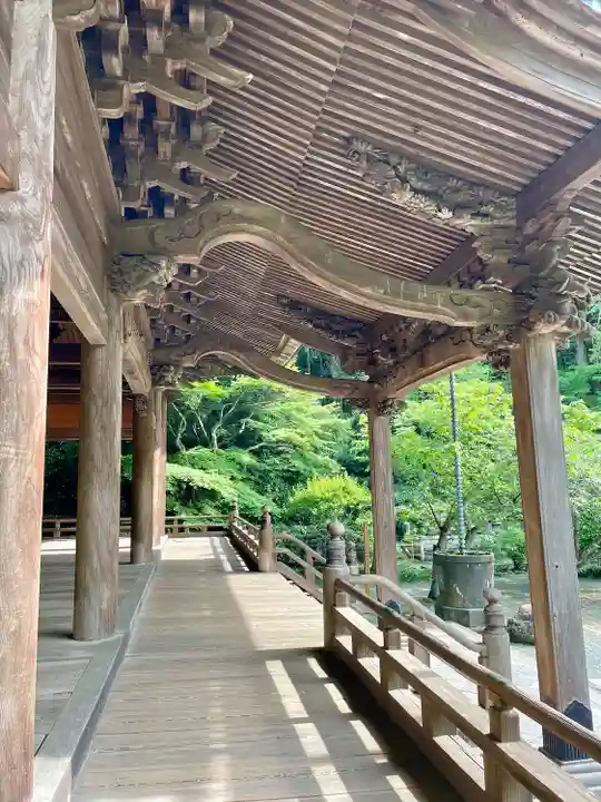 妙本寺(神奈川県)