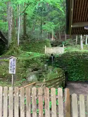 諏訪大社(長野県)