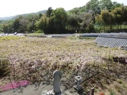 長泉寺の景色