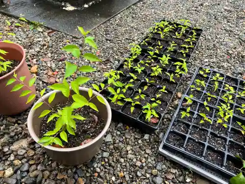 手力雄神社(岐阜県)