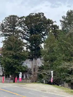 高司神社〜むすびの神の鎮まる社〜(福島県)