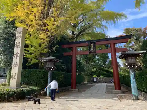 根津神社の鳥居