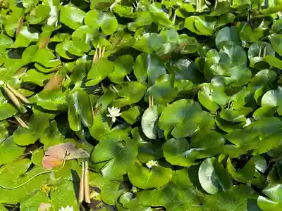 上杉神社(山形県)