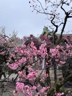 北野天満宮(京都府)
