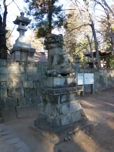 大井俣窪八幡神社の狛犬