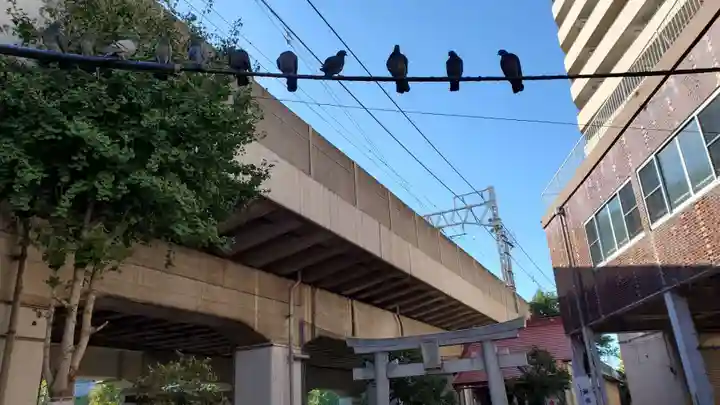 梅島天満宮の動物