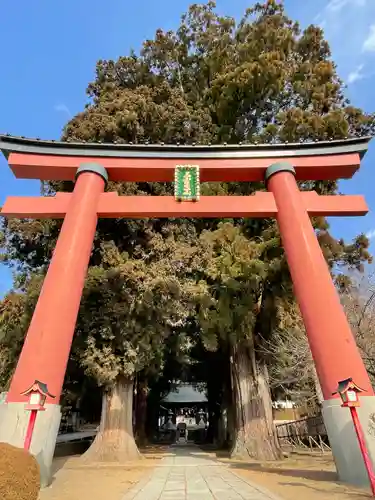 河口浅間神社の鳥居