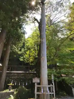 諏訪大社のその他建物