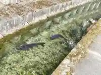 玉緒神社(滋賀県)